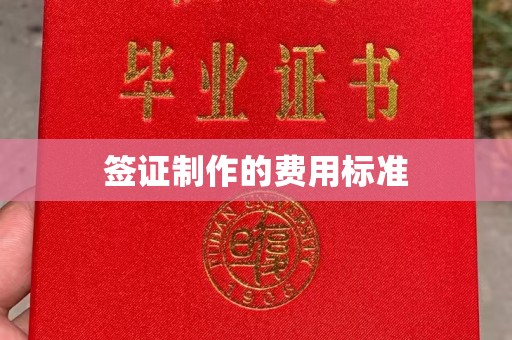 虞城签证制作的费用标准