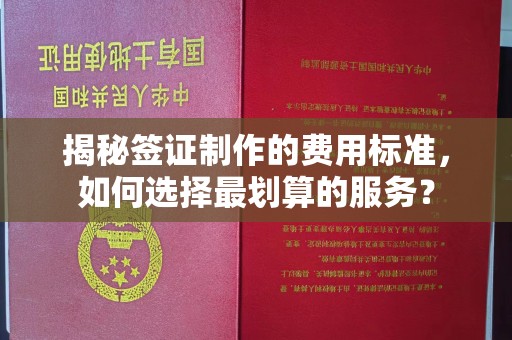 虞城揭秘签证制作的费用标准，如何选择最划算的服务？