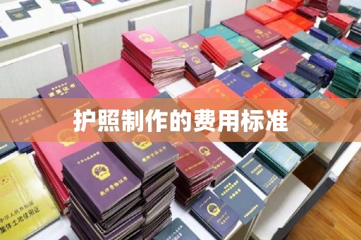 虞城护照制作的费用标准