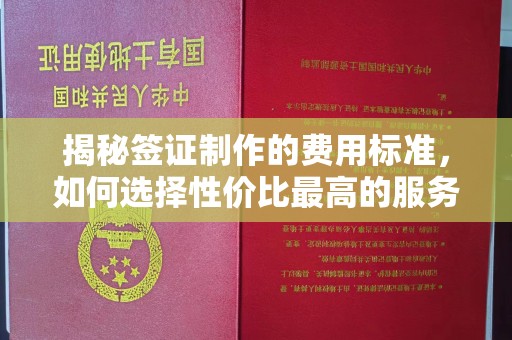 虞城揭秘签证制作的费用标准，如何选择性价比最高的服务？